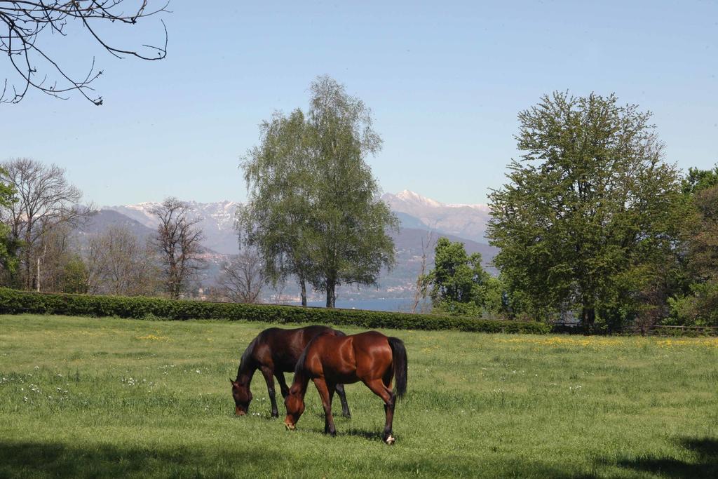 La Cucchetta Bed and Breakfast Dormelletto Buitenkant foto